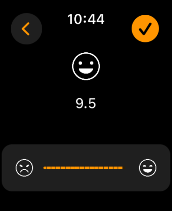 Simulator Screenshot - Apple Watch Series 9 (45mm) - 2024-02-23 at 10.44.38.png